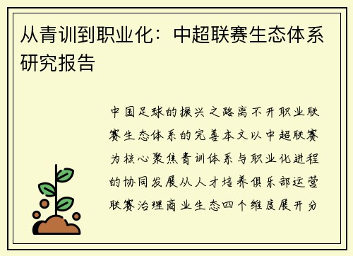 从青训到职业化：中超联赛生态体系研究报告