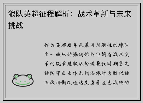 狼队英超征程解析：战术革新与未来挑战